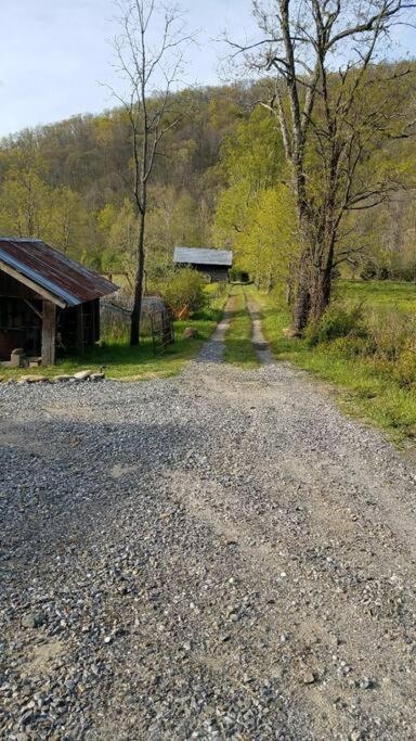 Country Mountain Escape! Villa Barnardsville Екстериор снимка