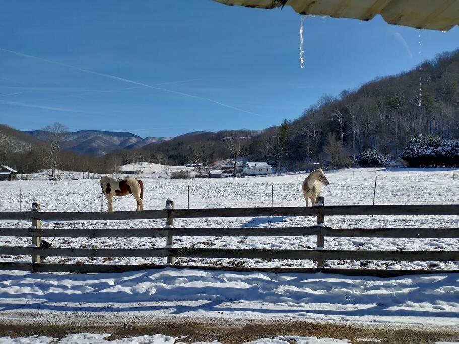Country Mountain Escape! Villa Barnardsville Екстериор снимка