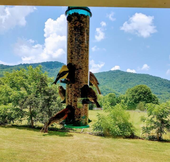 Country Mountain Escape! Villa Barnardsville Екстериор снимка