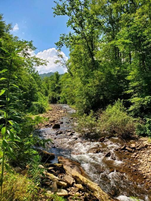 Country Mountain Escape! Villa Barnardsville Екстериор снимка