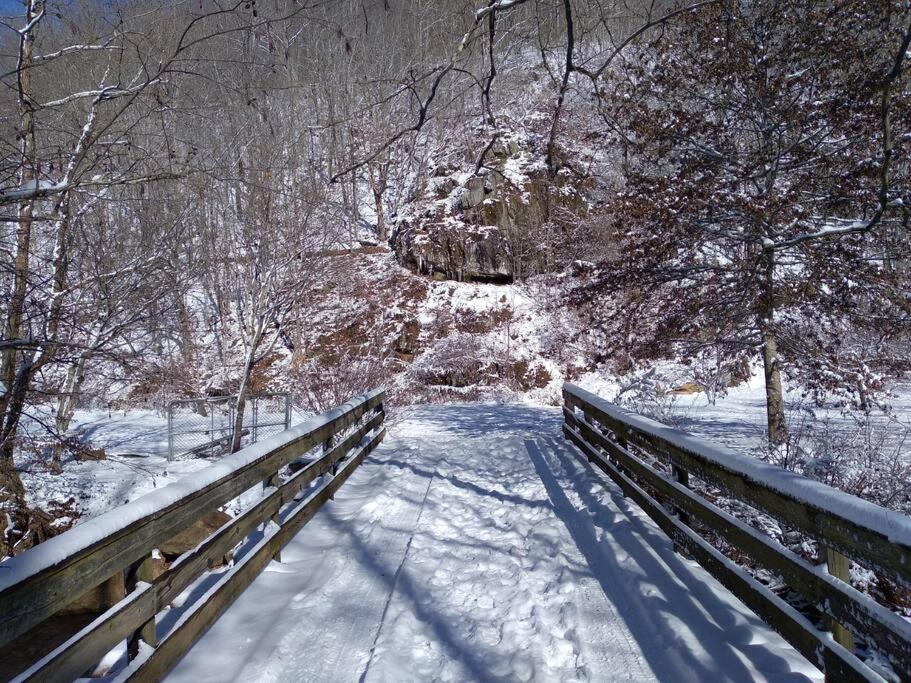 Country Mountain Escape! Villa Barnardsville Екстериор снимка
