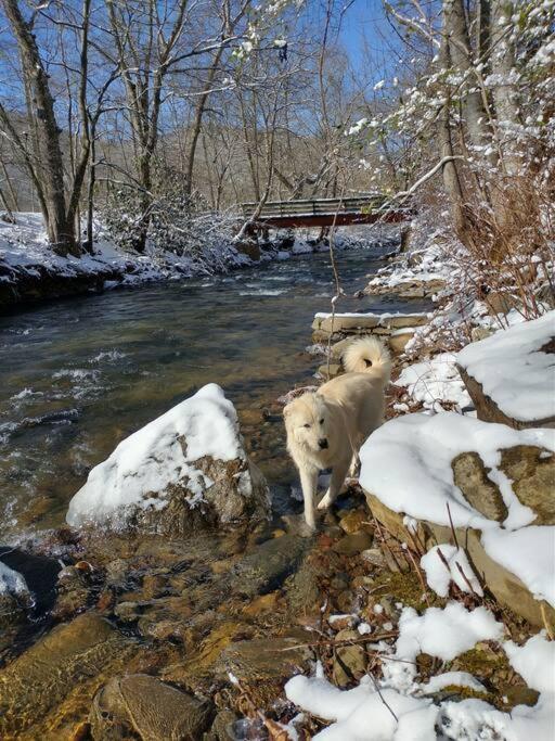 Country Mountain Escape! Villa Barnardsville Екстериор снимка