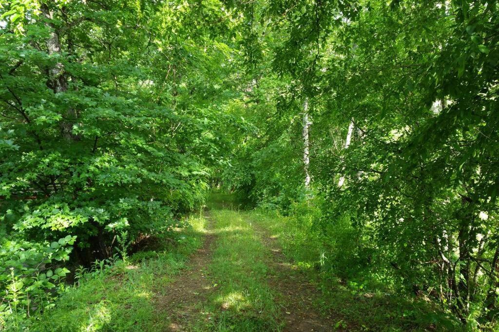Country Mountain Escape! Villa Barnardsville Екстериор снимка
